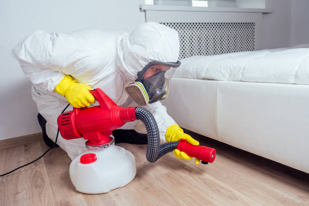 Best Pest Prevention Services  in De Motte, IN
