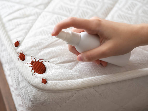 Pest Control for Restaurants in De Motte, IN