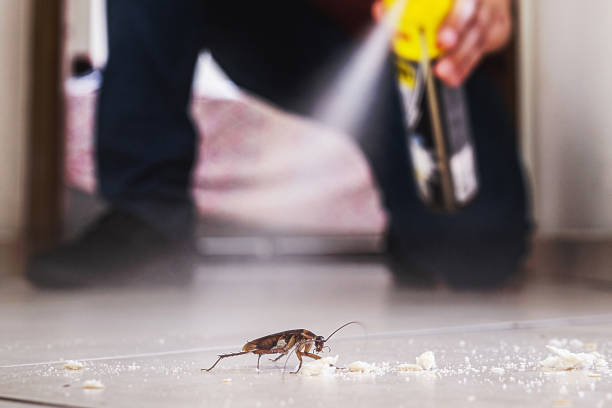 Best Best Pest Control Companies  in De Motte, IN